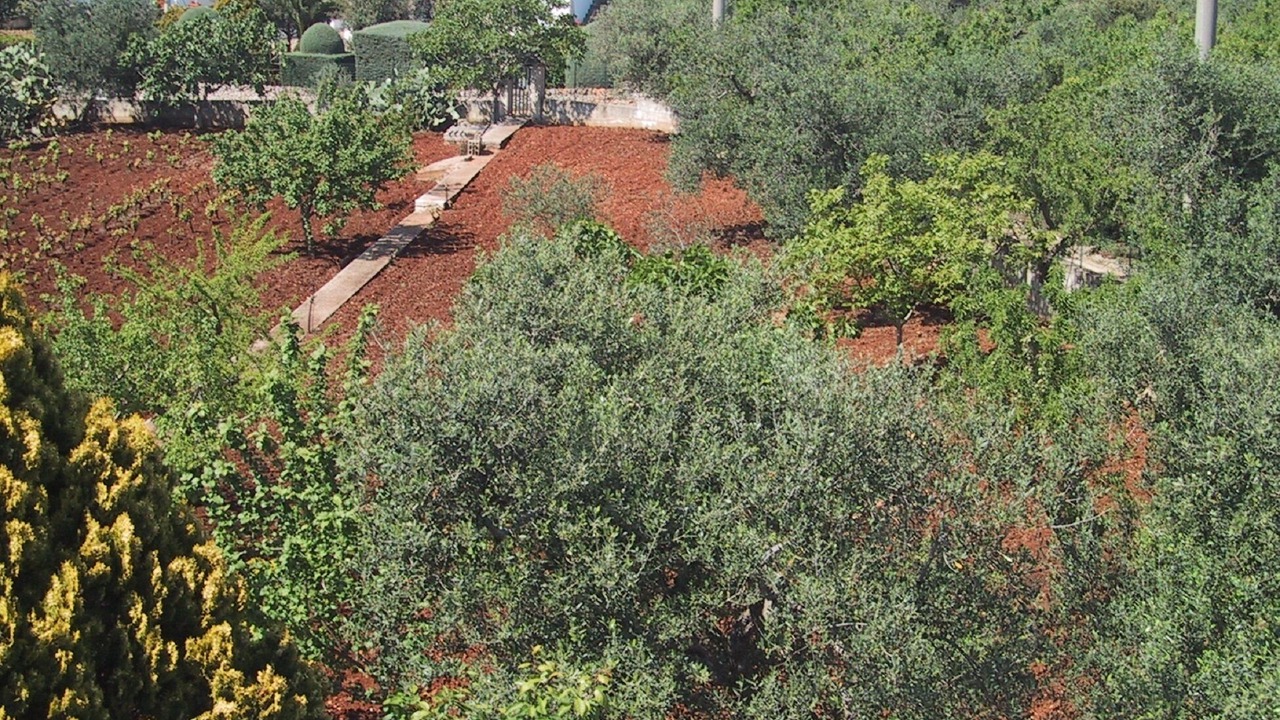 Photo of Outdoor in Ostuni
