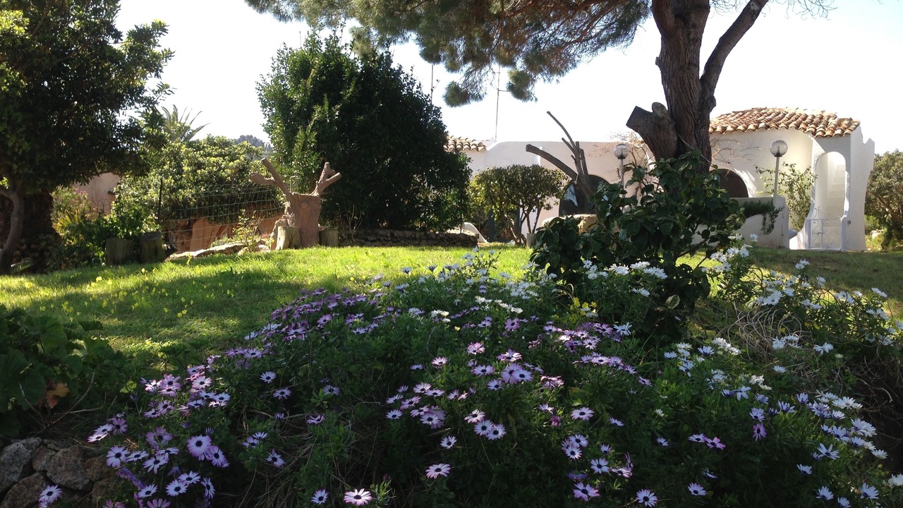 Photo of Outdoor in Porto Rafael