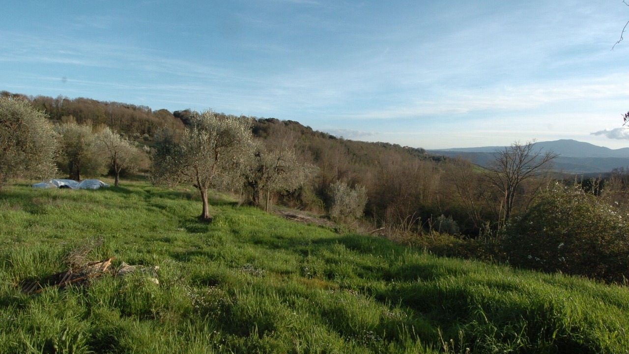 Photo of Outdoor in Amelia
