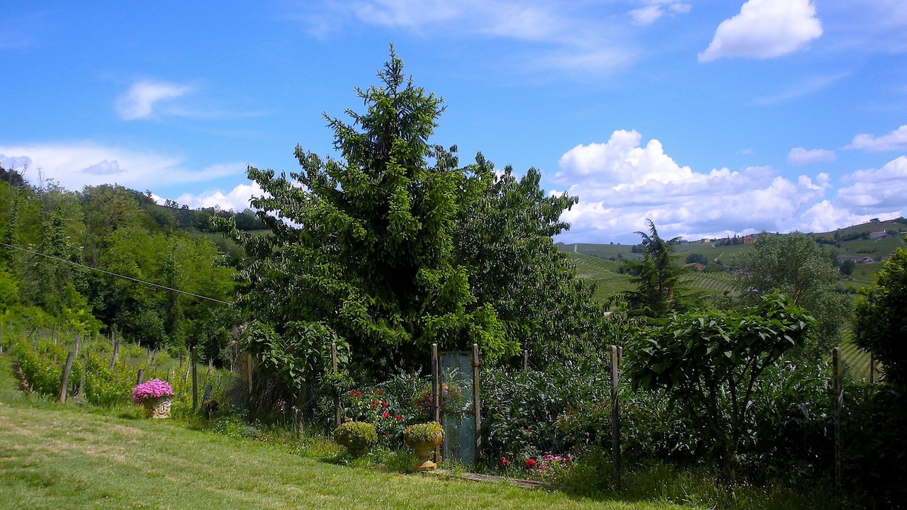 Photo of Outdoor in Nizza Monferrato
