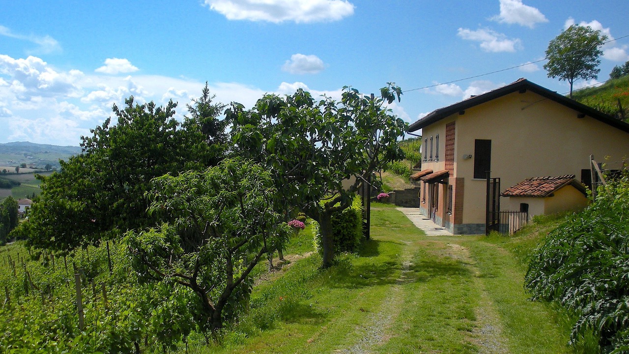 Photo of Others in Nizza Monferrato