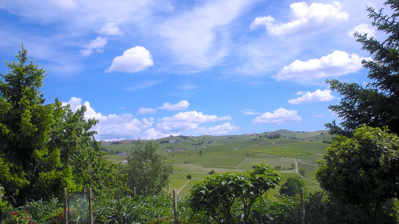 Photo of Others in Nizza Monferrato