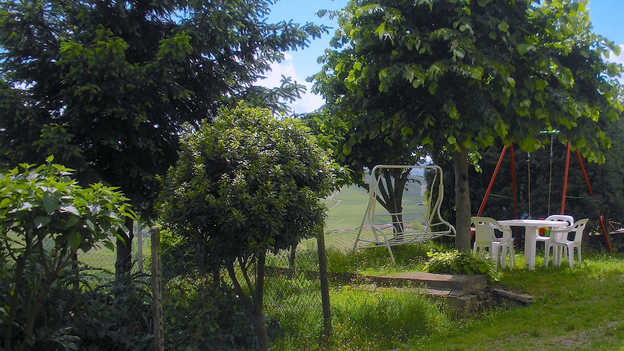 Photo of Outdoor in Nizza Monferrato