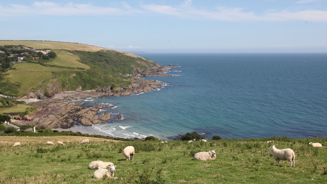 Photo of Others in West Looe
