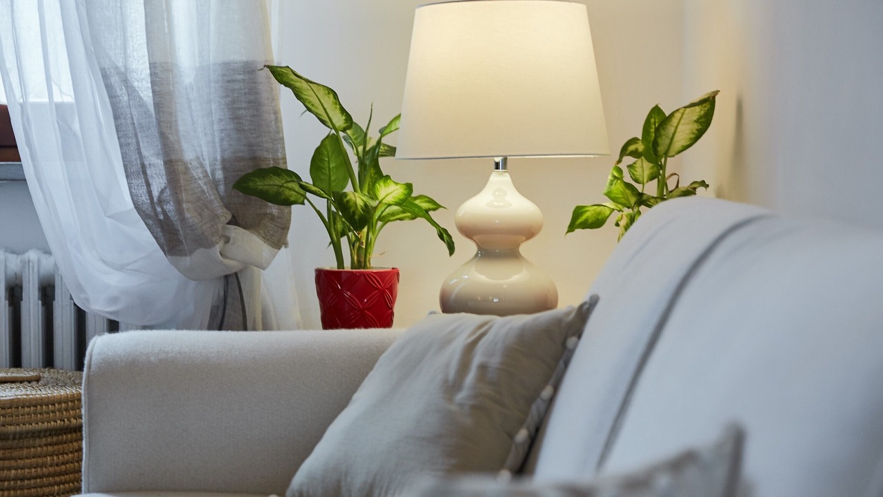 Photo of Livingroom in Monteluiano
