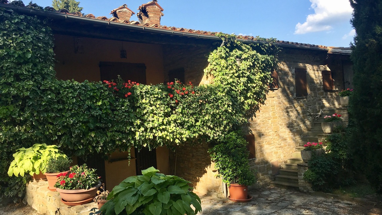 Photo of Outdoor in Monteluiano