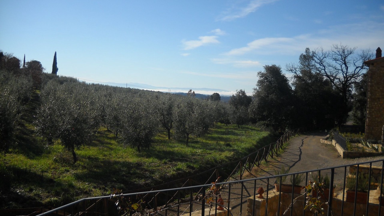Photo of Others in Villa A Sesta