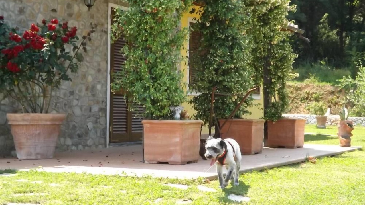 Photo of Outdoor in Vicopelago