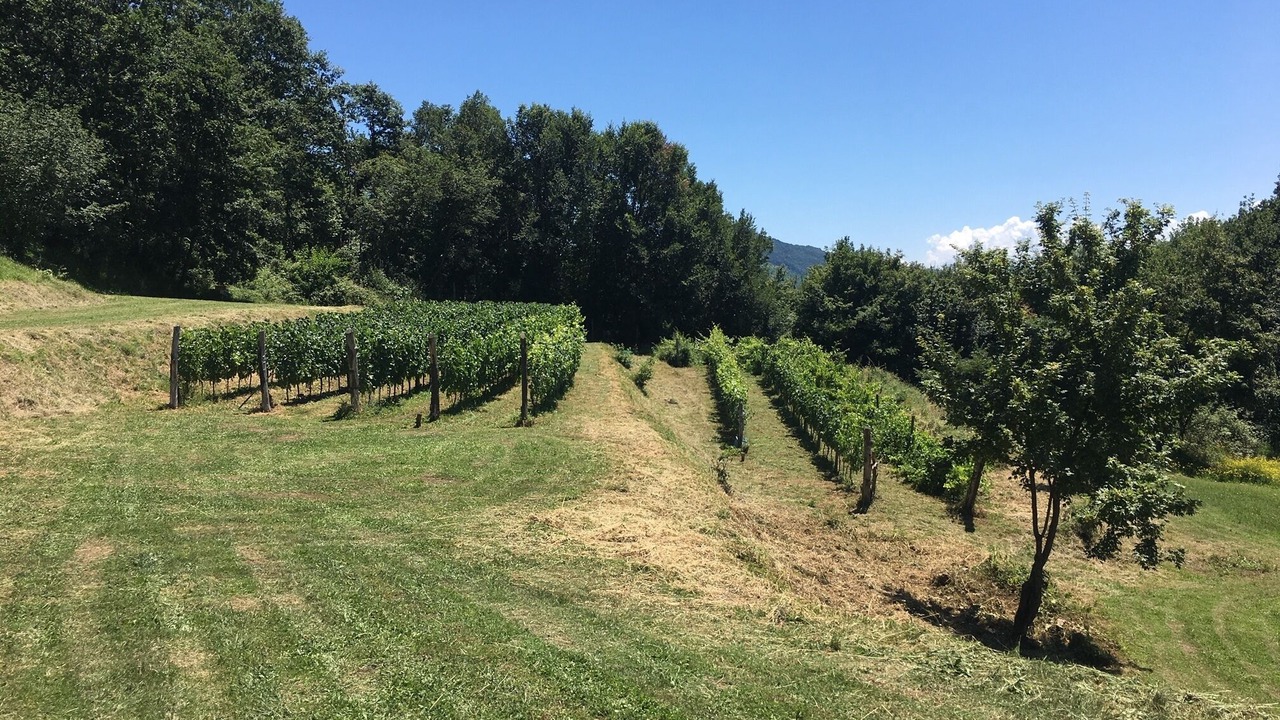 Photo of Outdoor in Bagnone