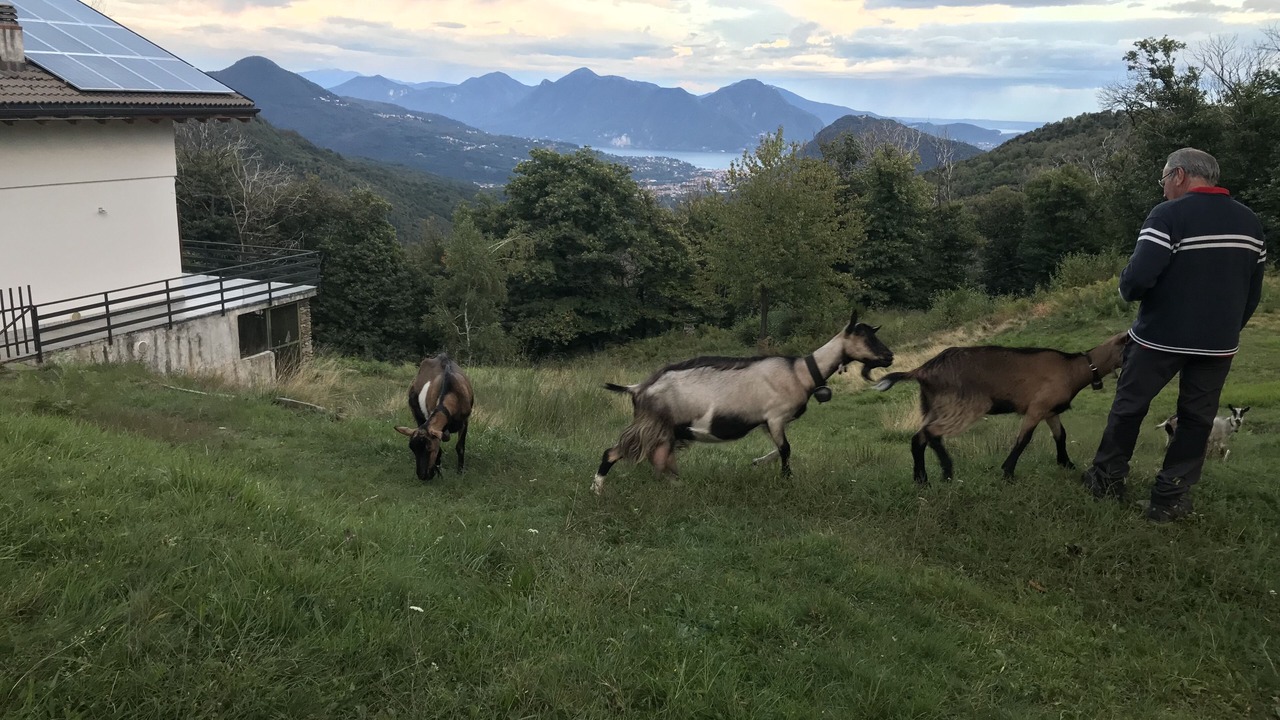 Photo of Outdoor in Comero