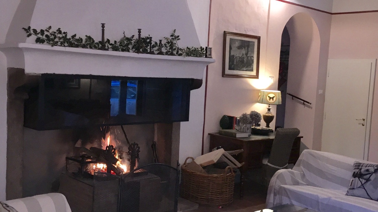 Photo of Livingroom in Vorno