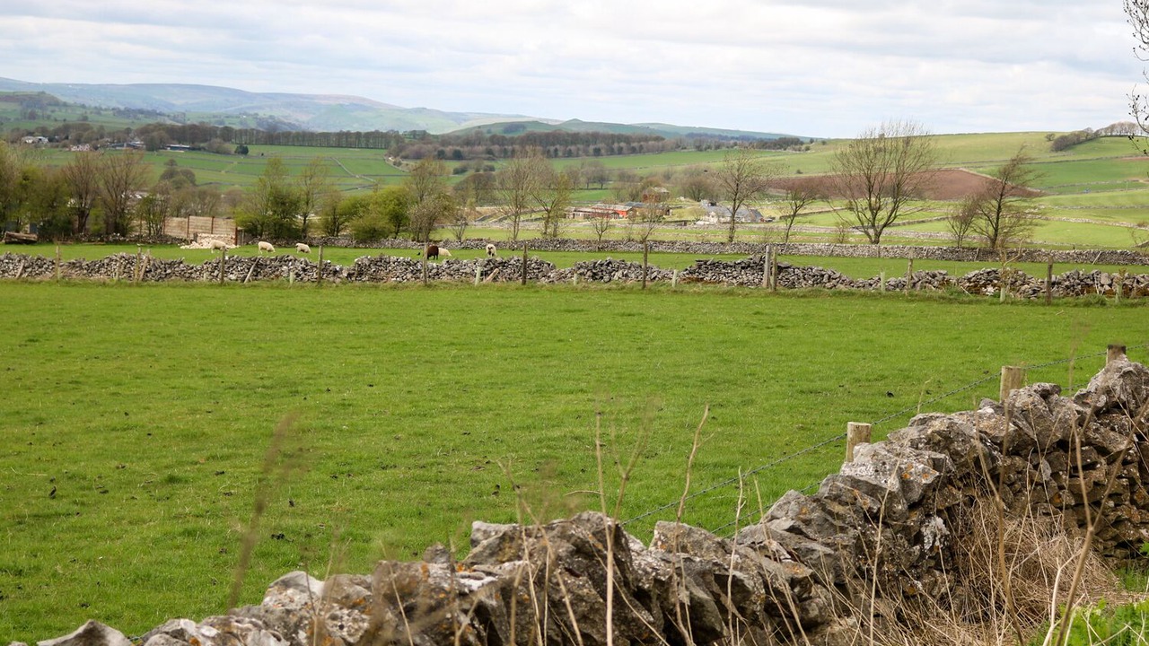 Photo of Others in Newton Grange