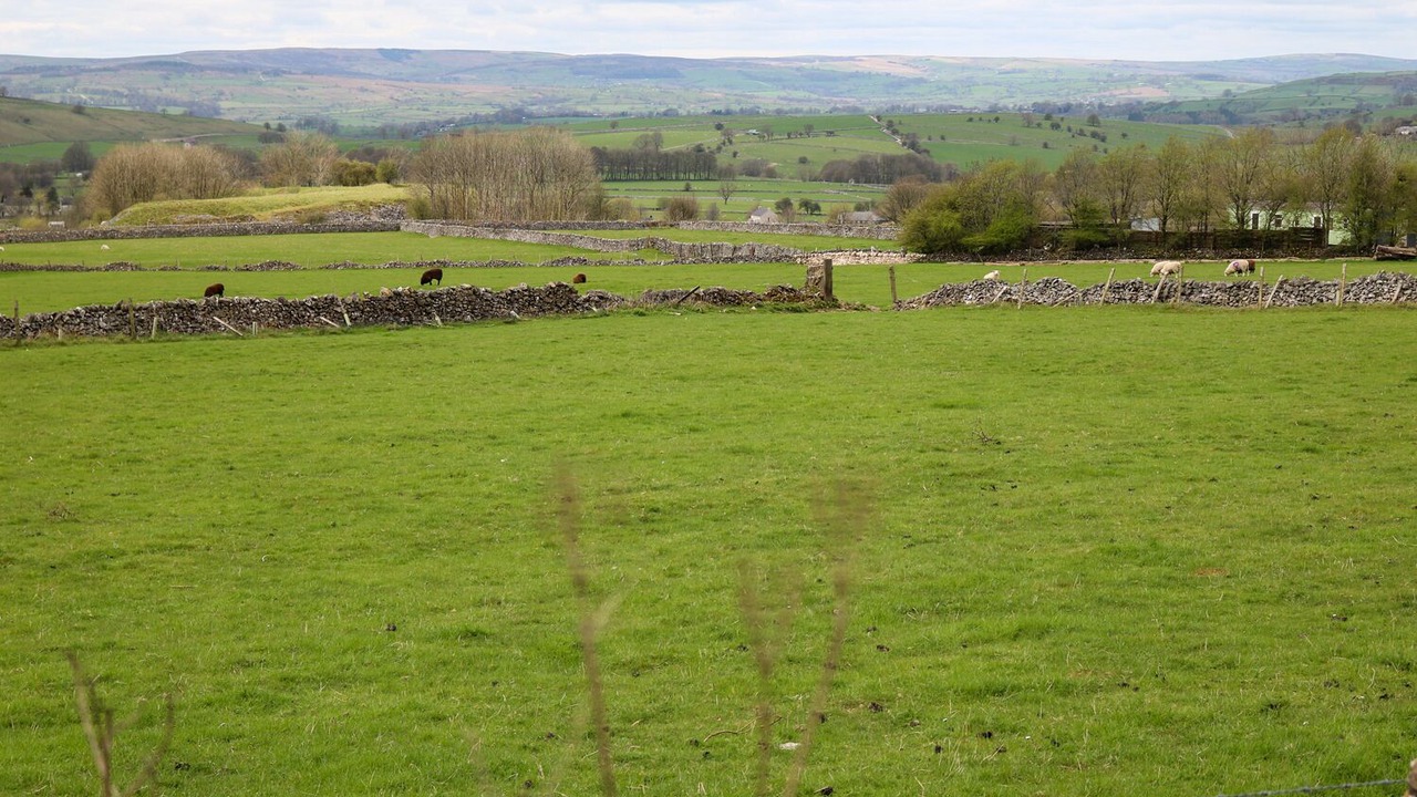 Photo of Others in Newton Grange