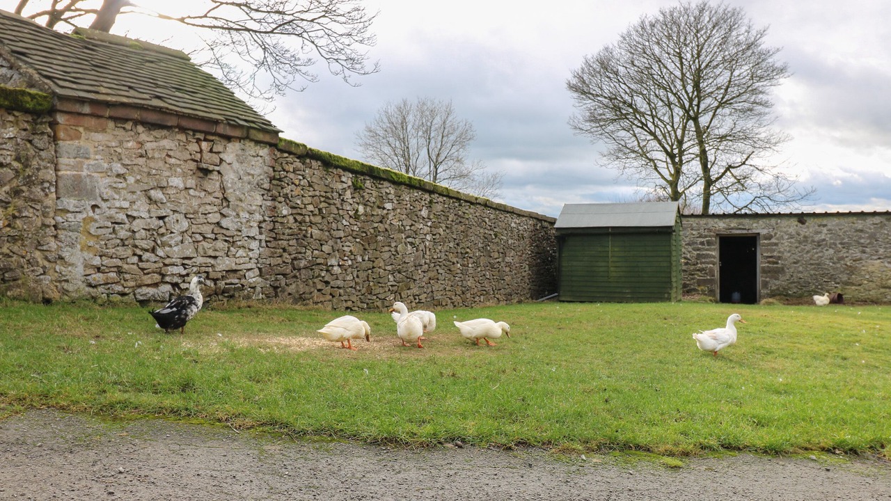 Photo of Outdoor in Newton Grange