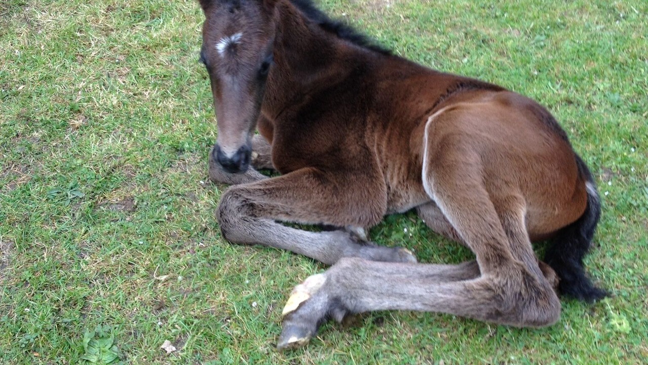 Photo of Outdoor in Compton Martin