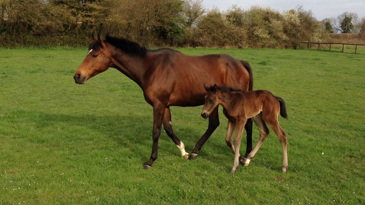 Photo of Outdoor in Compton Martin