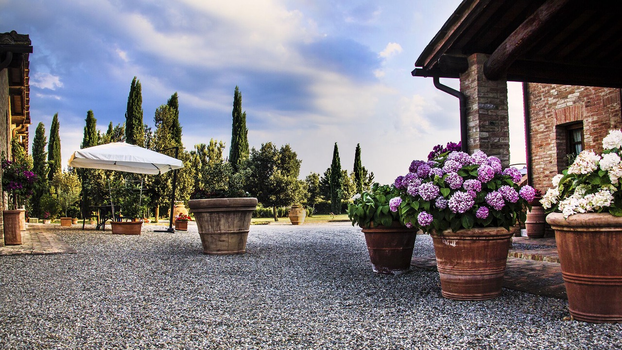 Photo of Outdoor in Monteroni d'Arbia
