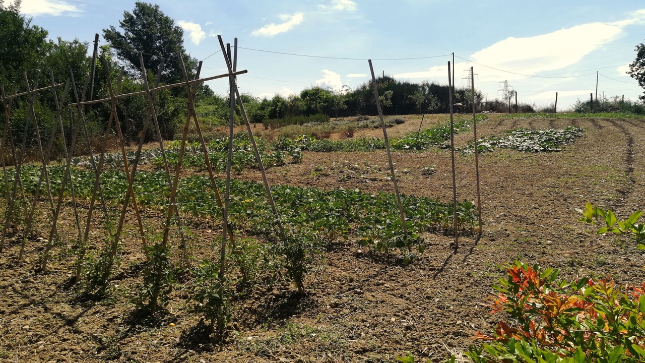 Photo of Others in Pergine Valdarno