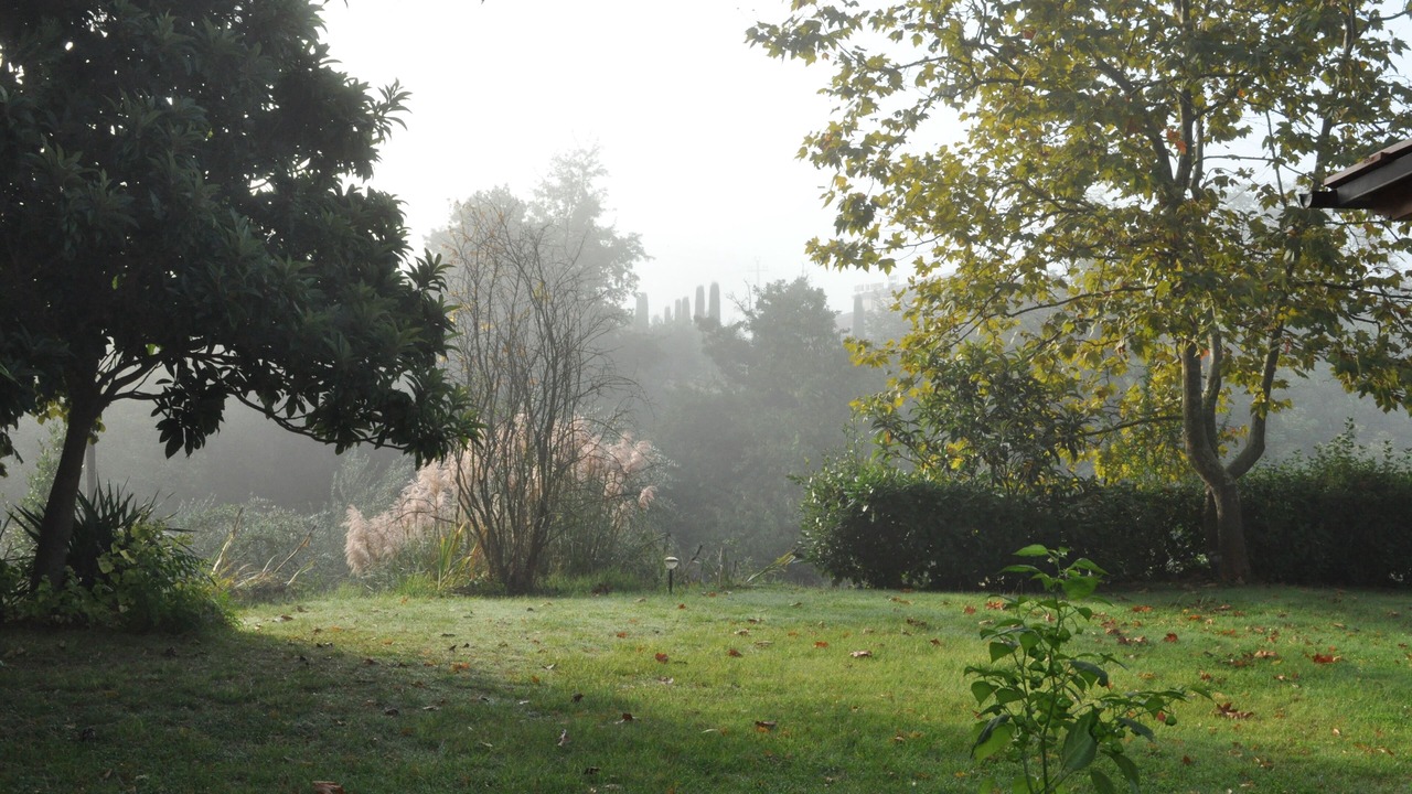 Photo of Outdoor in Castelfranco Piandisco