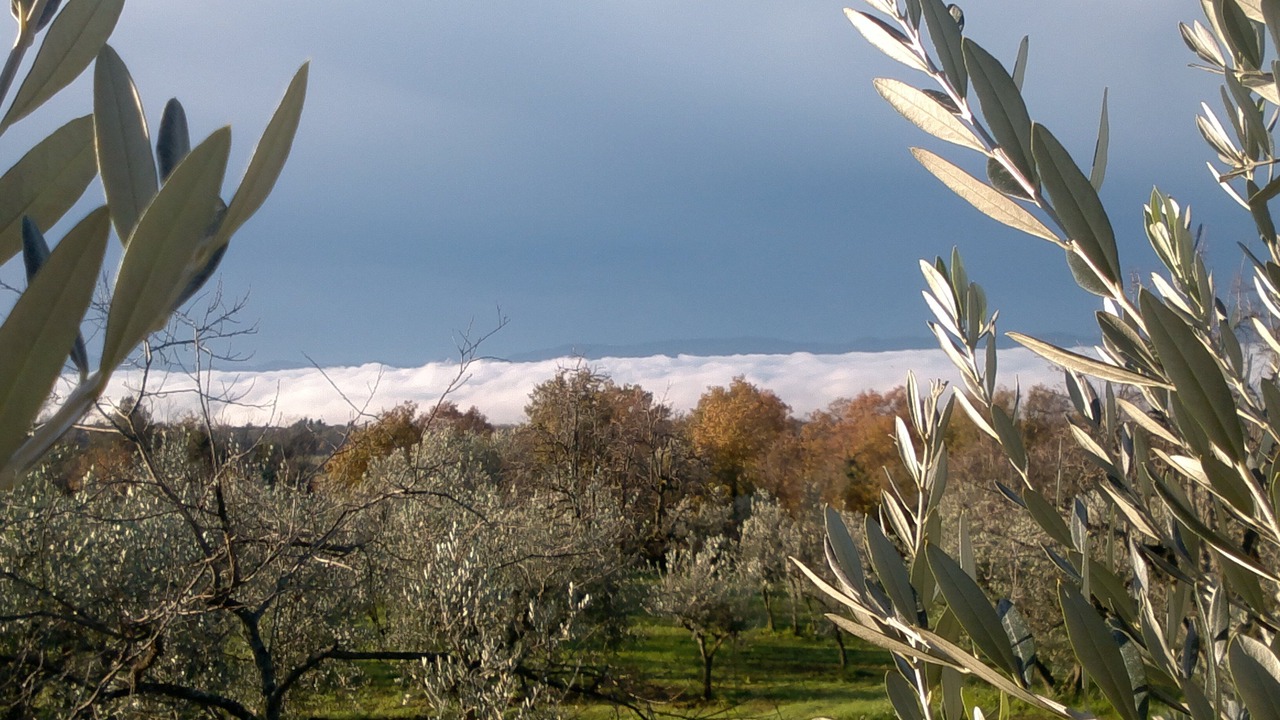 Photo of Outdoor in Castelfranco Piandisco