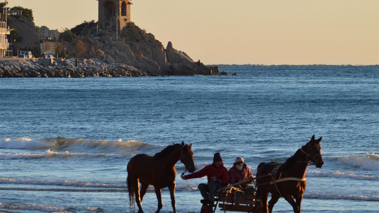 Photo of Others in Alassio