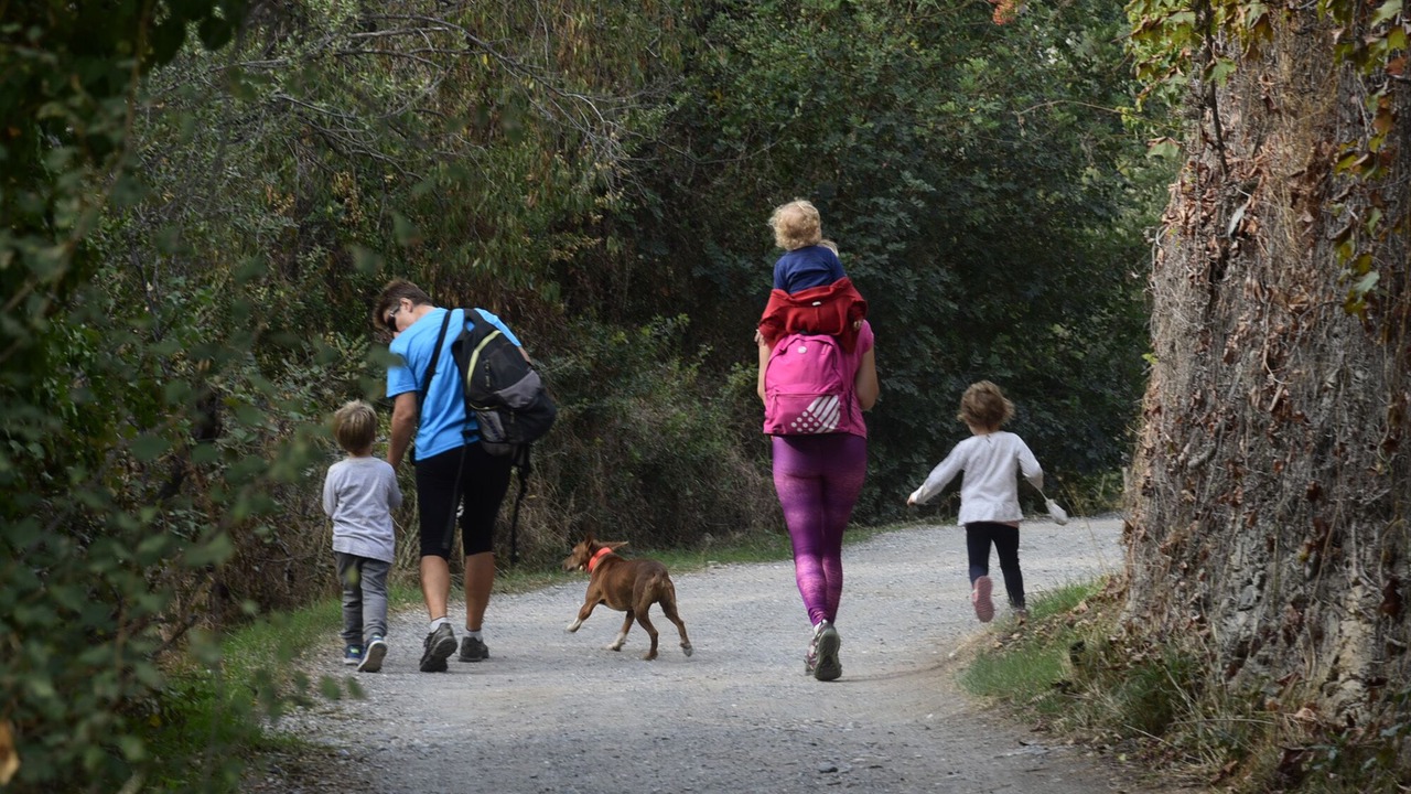 Photo of Others in Alassio