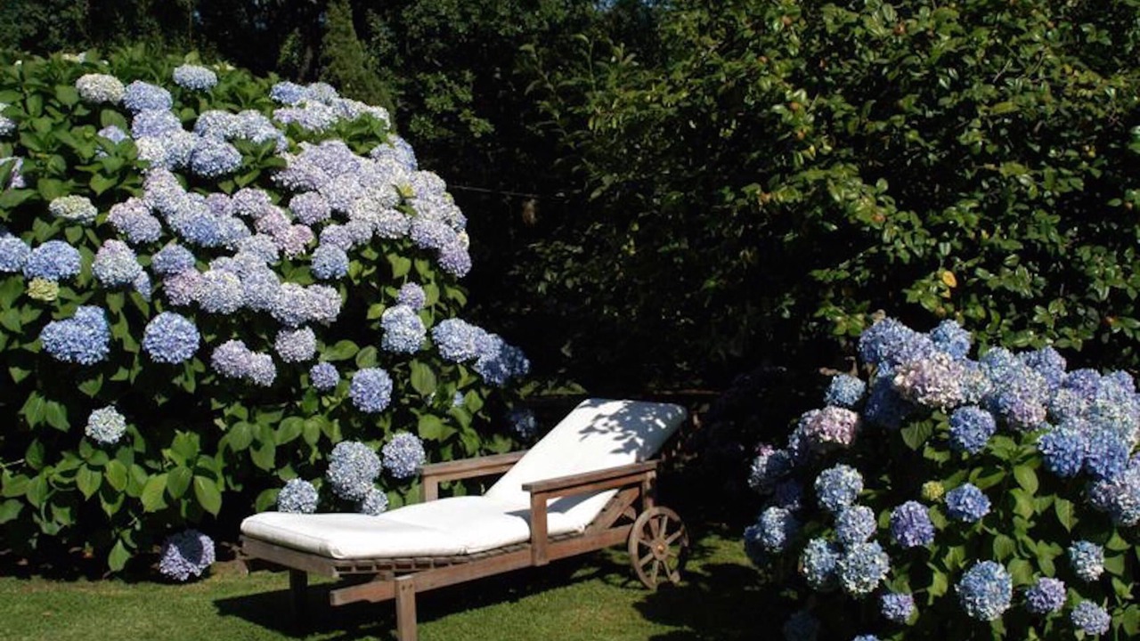 Photo of Outdoor in Albano Laziale