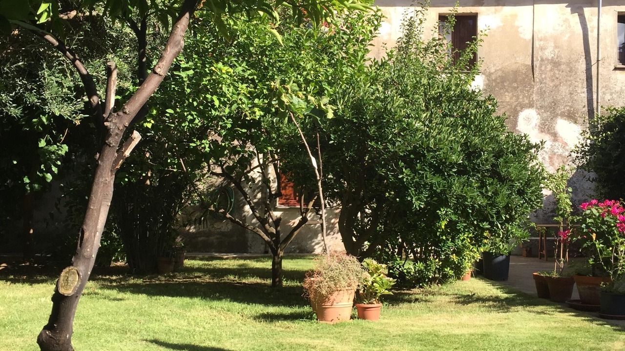 Photo of Outdoor in Guspini