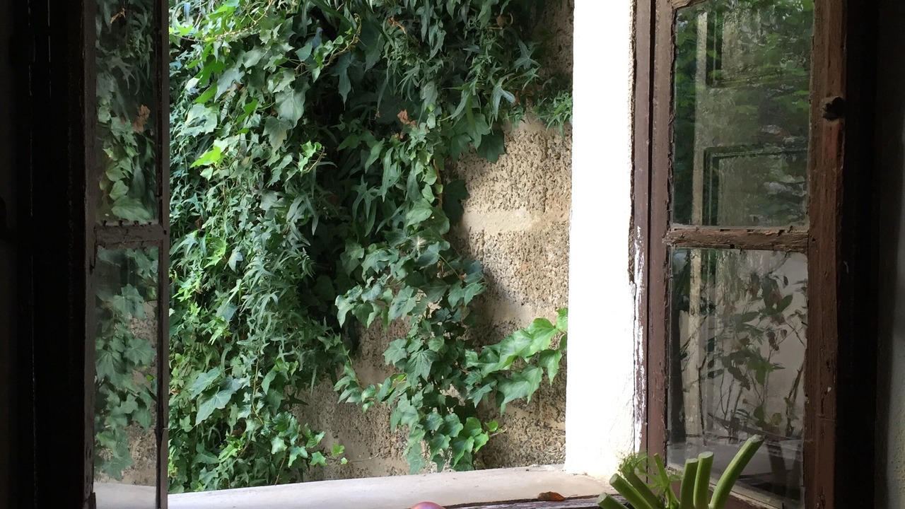 Photo of Others in Guspini