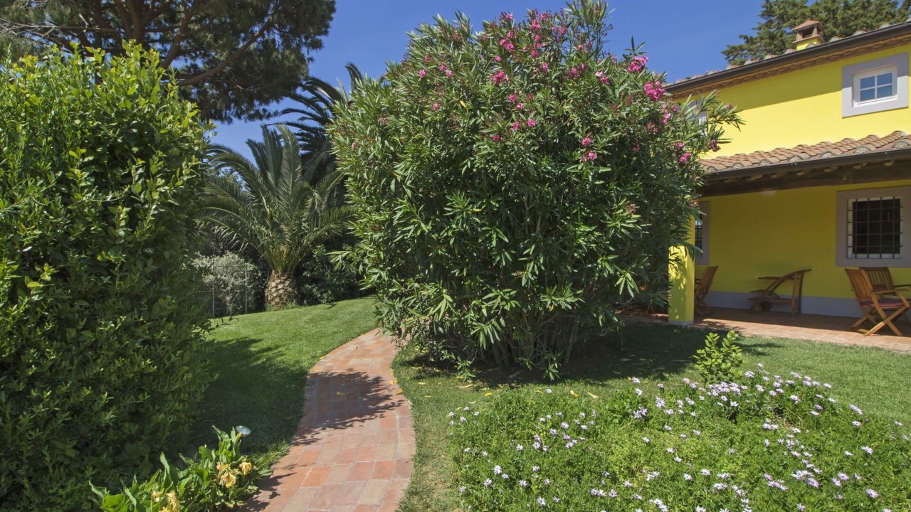 Photo of Outdoor in San Vincenzo