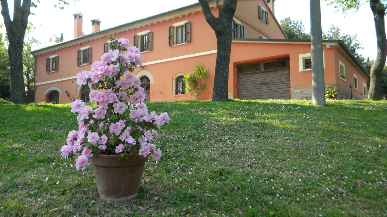 Photo of Outdoor in Serrungarina