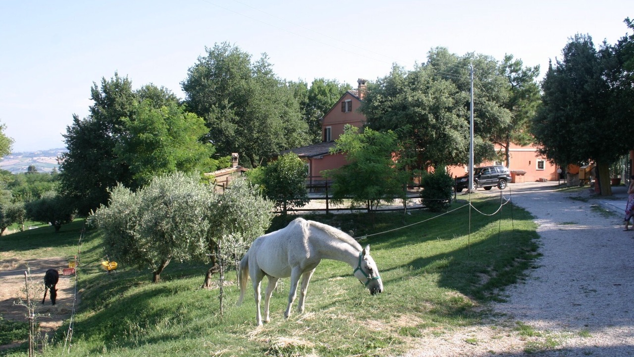 Photo of Outdoor in Serrungarina