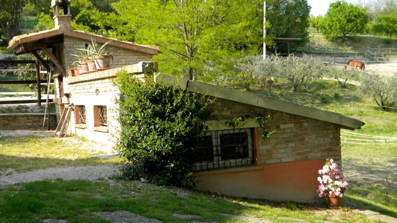 Photo of Outdoor in Serrungarina