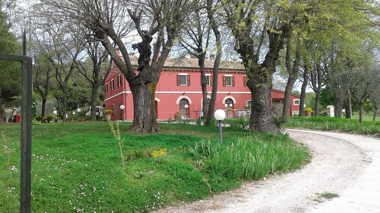 Photo of Outdoor in Serrungarina