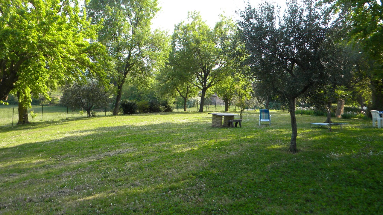 Photo of Outdoor in Serrungarina