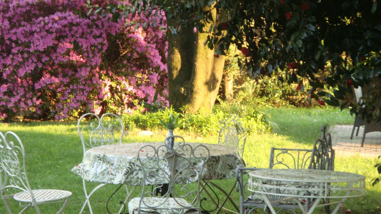 Photo of Outdoor in Maccagno