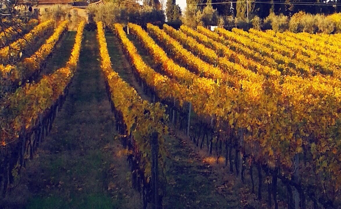 Photo of Outdoor in San Casciano in Val di Pesa