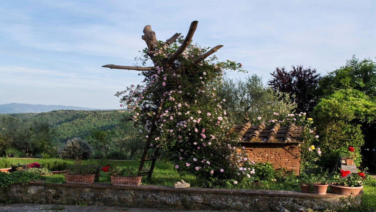 Photo of Outdoor in San Casciano in Val di Pesa