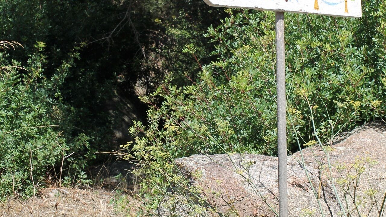 Photo of Outdoor in Luogosanto