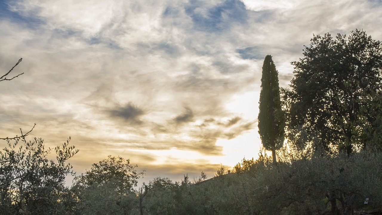 Photo of Outdoor in Reggello