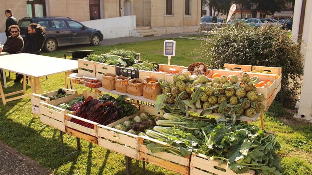Photo of Outdoor in San Vito dei Normanni