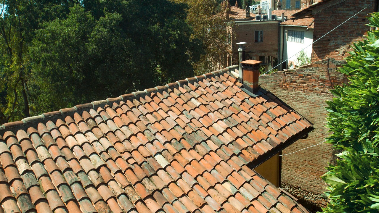 Photo of Outdoor in Garibaldi