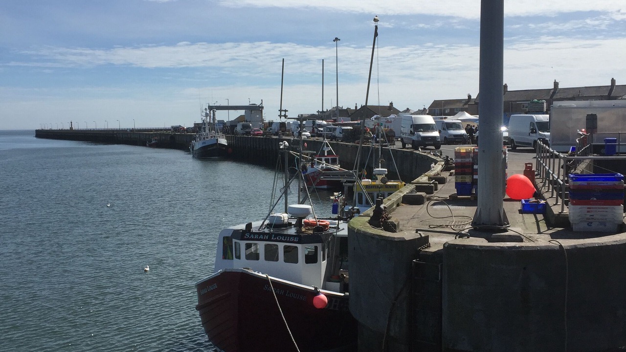 Photo of Others in Amble