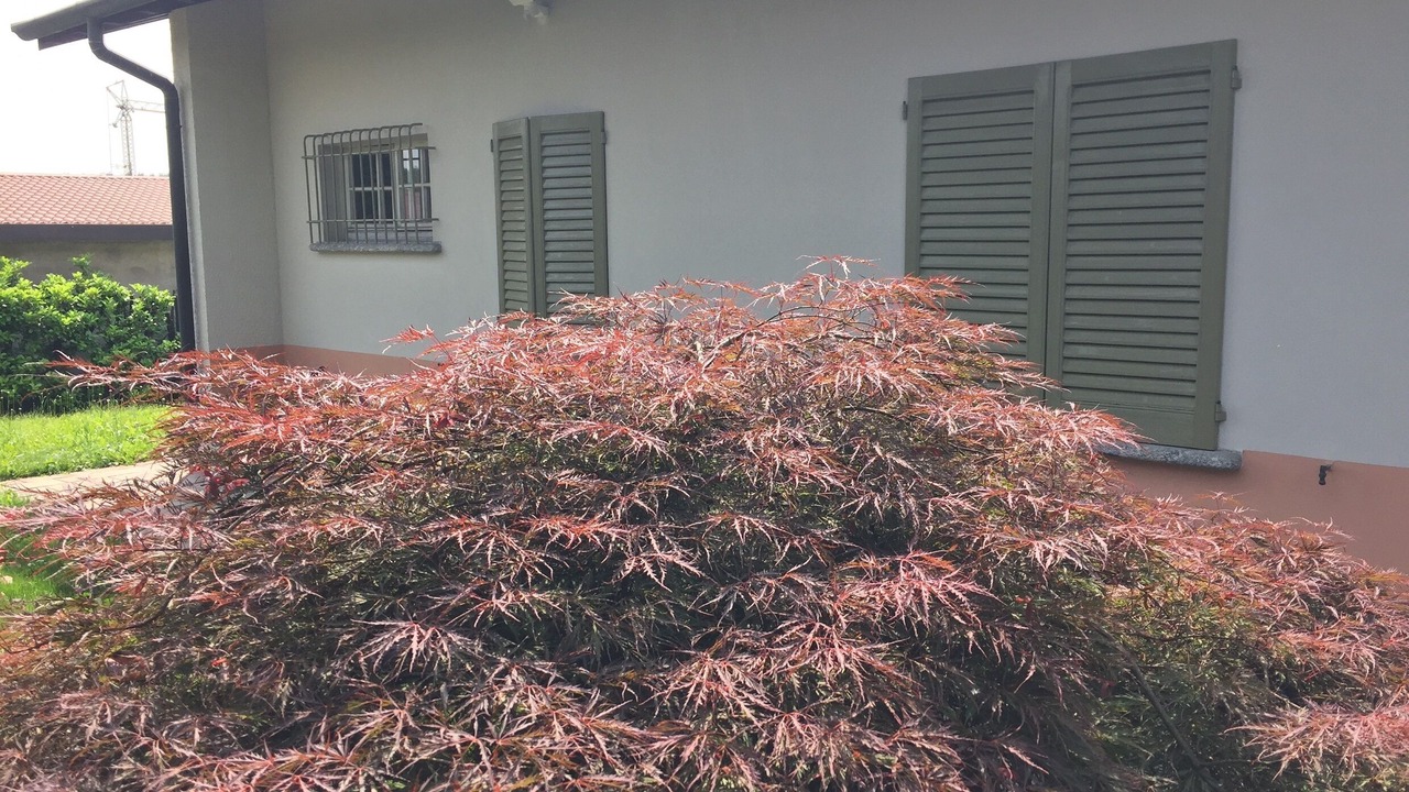 Photo of Outdoor in Alzate Brianza