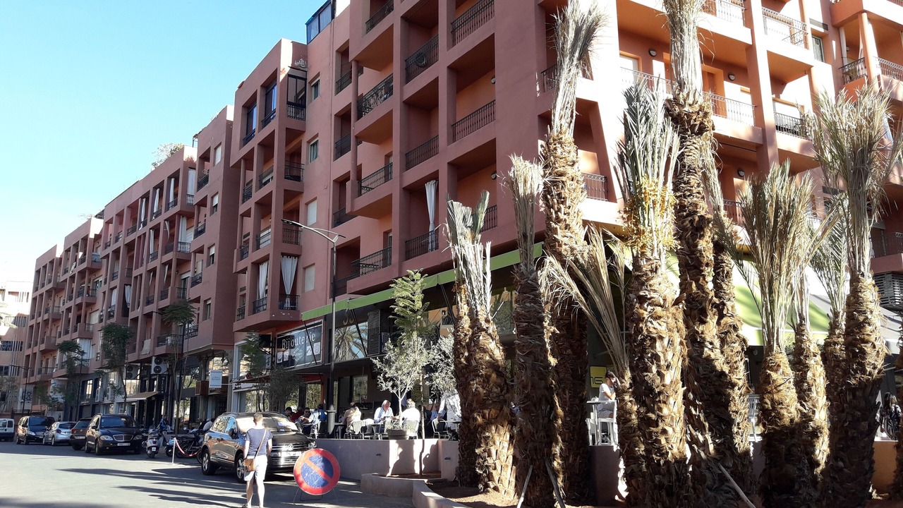 Photo of Outdoor in Majorelle