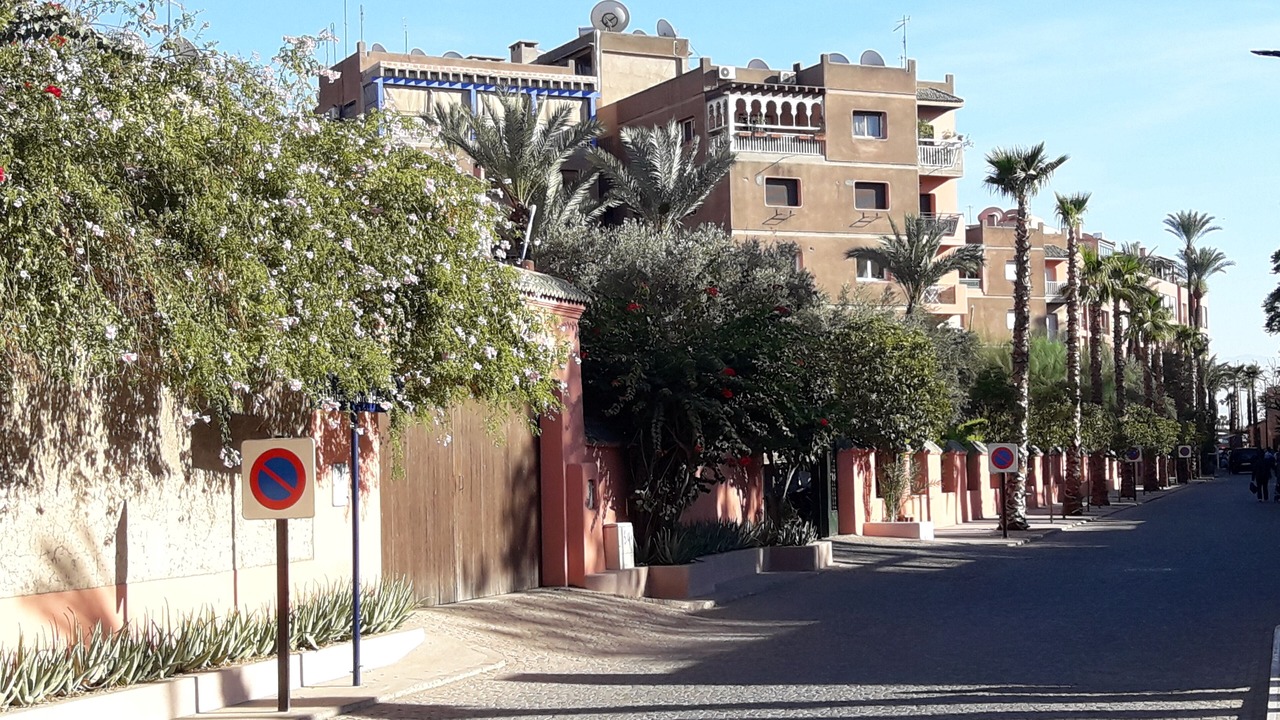 Photo of Outdoor in Majorelle