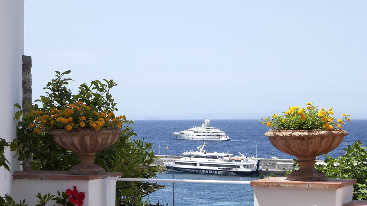 Photo of Outdoor in Licola