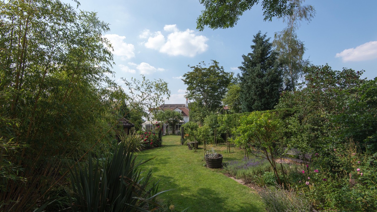 Photo of Outdoor in New Forest District