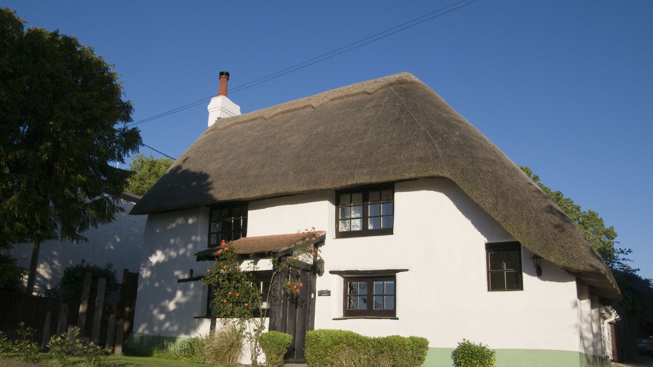 Photo of Others in New Forest District