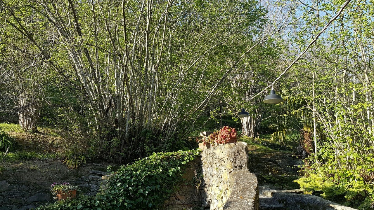 Photo of Outdoor in Ortonovo